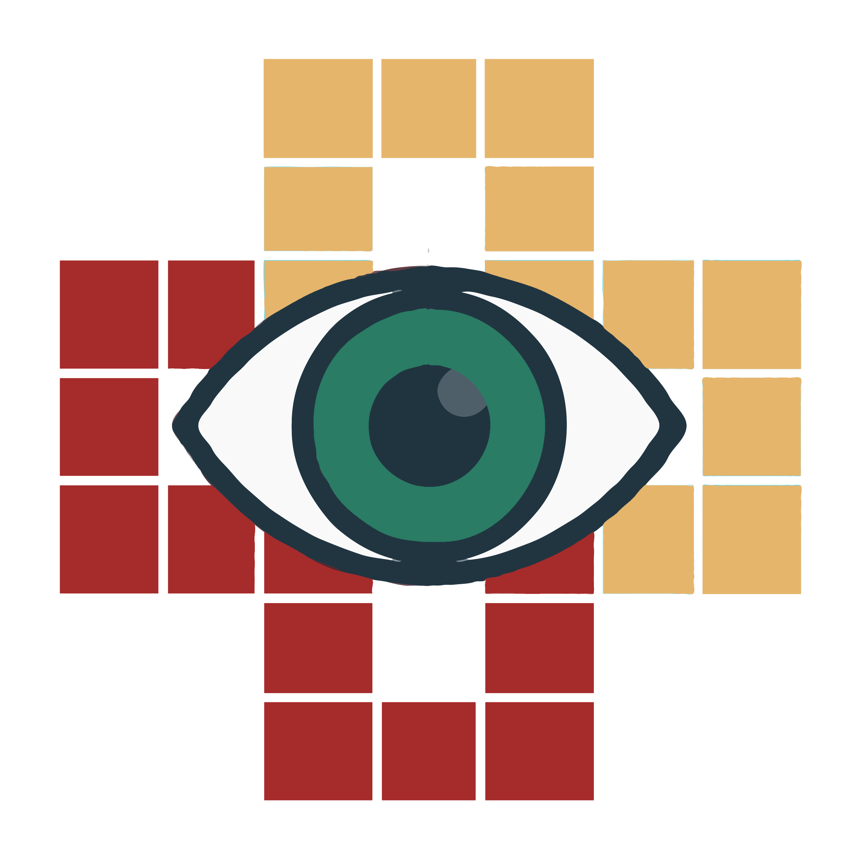 Lazy Eye Games Amblyopia Test and Screening app logo with a stylized eye over red and gold screening blocks